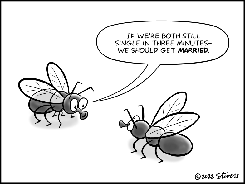 Fly marriage pact